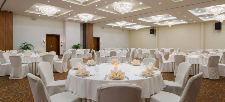 莫斯科谢列梅捷沃机场喜来登酒店(Sheraton Skypoint Luxe)图片