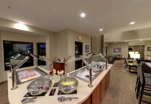 Staybridge Suites ANN ARBOR - UNIV OF MICHIGAN by IHGHotel Overview