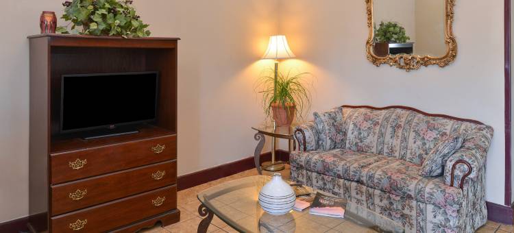 沃索的伊克诺旅馆套房(Econo Lodge Inn & Suites)图片