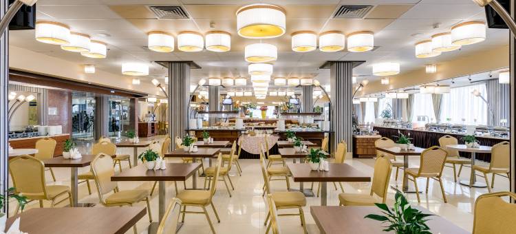 维嘉伊兹麦洛瓦酒店和会议中心(Vega Izmailovo Hotel)图片