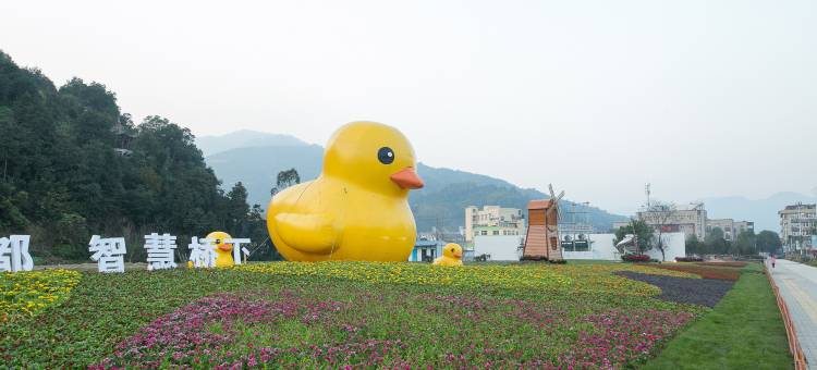 永嘉县米兰国际大酒店图片