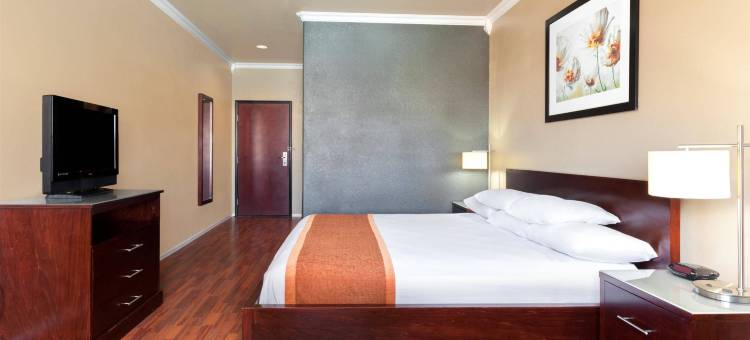 孤星旅馆及套房(Lone Star Inn & Suites)图片