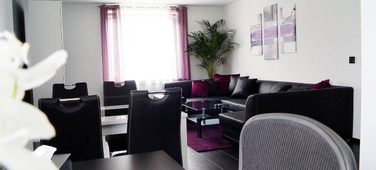 拉多慕斯高级酒店(La Domus Premium Osnabrück Lotte)图片