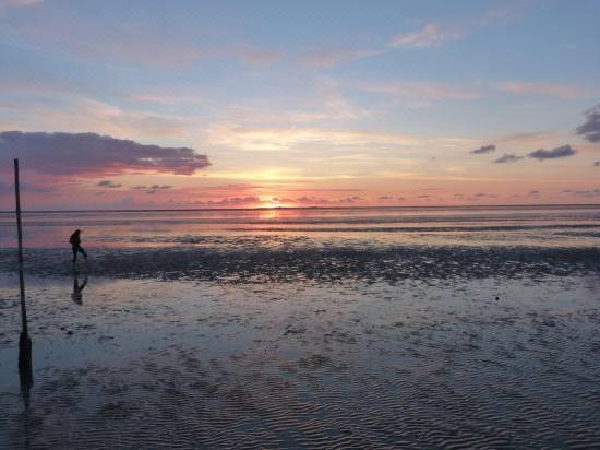 Haus Erika Hotel Reviews And Room Rates