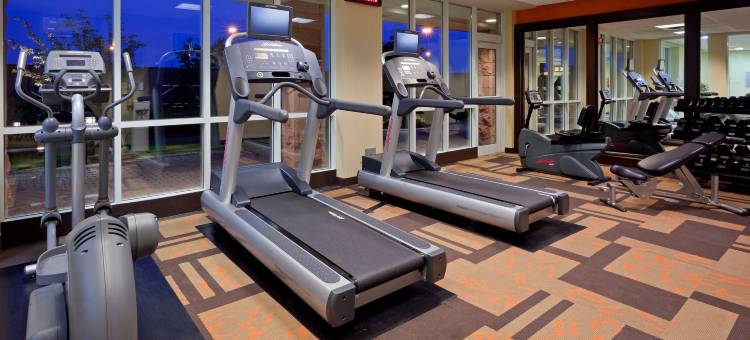 多伦多密西沙加梅多维尔万怡酒店(Courtyard Toronto Mississauga/Meadowvale)图片