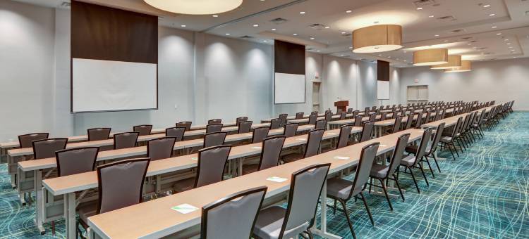 达拉斯普莱诺/弗里斯科万豪SpringHill酒店(SpringHill Suites Dallas Plano/Frisco)图片