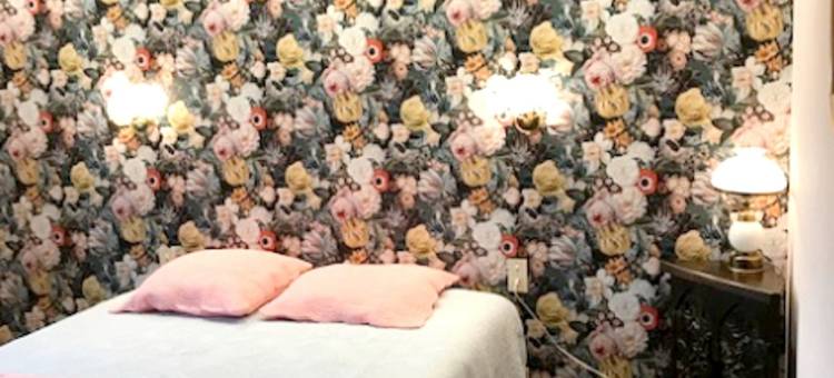 普洛戈 3 居之家酒店 - 附设备完善花园及无线上网(House with 3 Bedrooms in Plogoff, with Furnished Garden and Wifi)图片