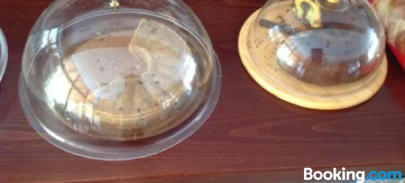 齐格斯假日公寓式酒店(Holiday Zigos)图片