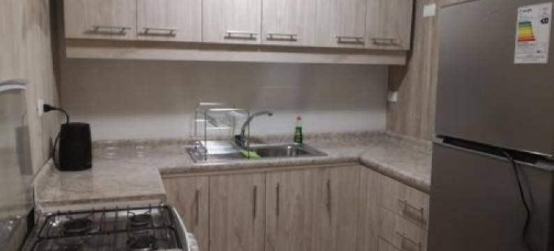 Apart Hotel Antu de Villarrica图片