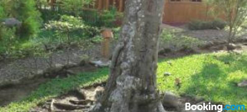 Estancia la Colina图片