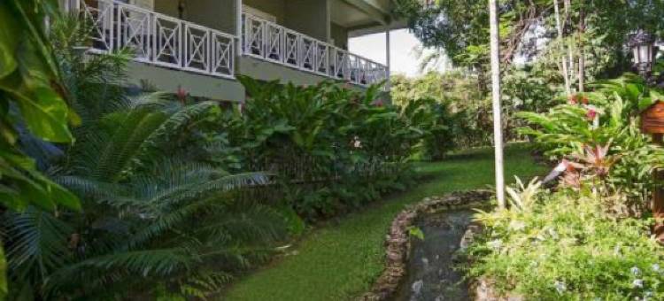 Sandals Ochi Beach All Inclusive Resort - Couples Only图片