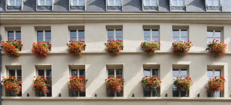 多布松酒店(Hôtel d'Aubusson)图片