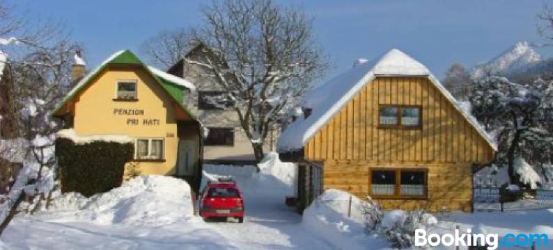 德里温妮卡哈提旅馆(Penzion a Drevenica Pri Hati)图片