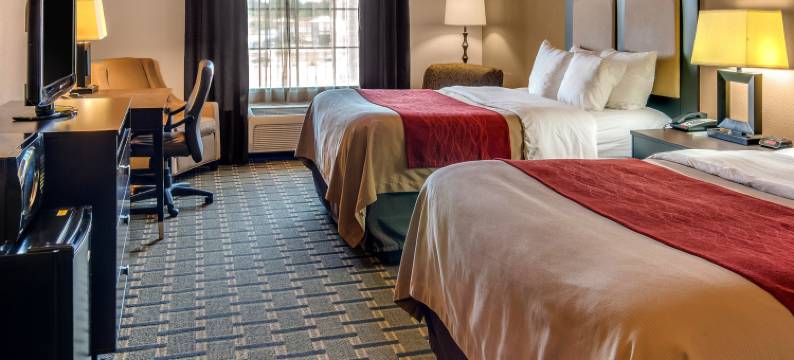 派瑞斯舒适酒店(Comfort Inn & Suites Paris)图片