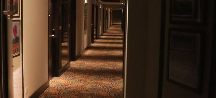 查漠市中心维万塔酒店(Vivanta Jammu City Centre)图片