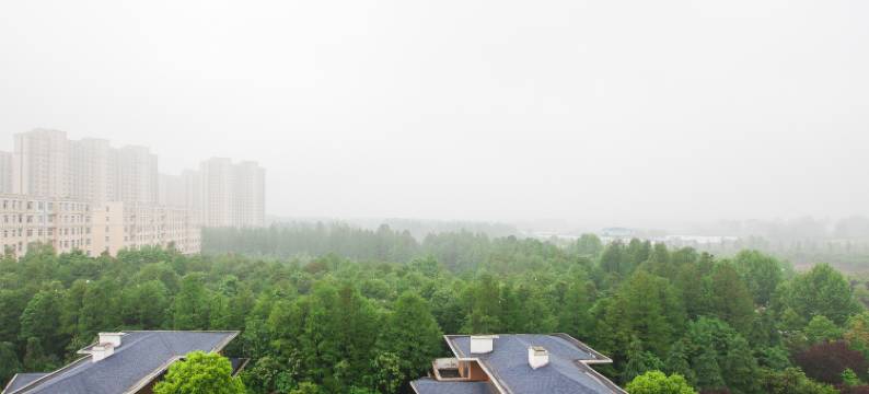 罗山新都国际大酒店图片