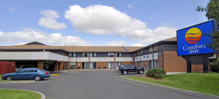 舒适酒店-西部(Comfort Inn West)图片