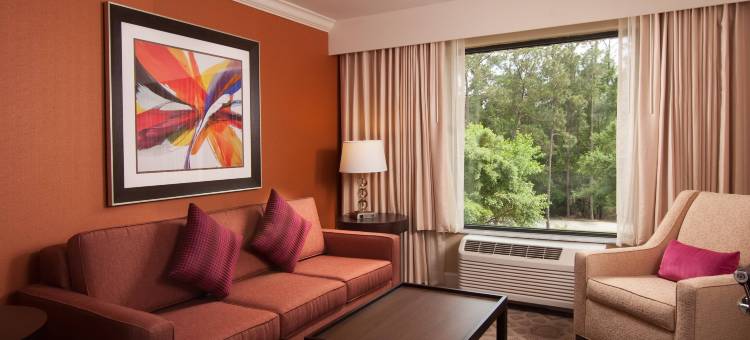 万豪德尔塔奥兰多酒店 - 博伟湖(Delta Hotels by Marriott Orlando Lake Buena Vista)图片