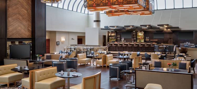 DFW机场喜来登酒店(Sheraton DFW Airport Hotel)图片