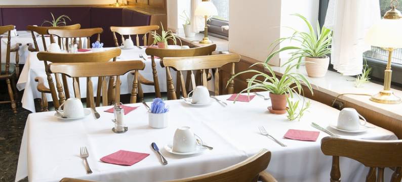 雷恩图尔酒店(Hotel Rheintor)图片