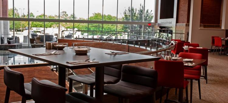 达拉斯希尔顿花园酒店-赫斯特会议中心(Hilton Garden Inn Dallas - at Hurst Conference Center)图片