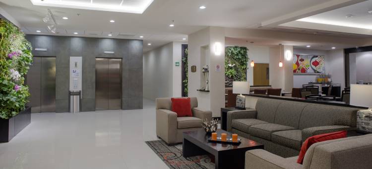 奇瓦瓦尤文智选假日酒店(Holiday Inn Express & Suites Chihuahua Juventud)图片