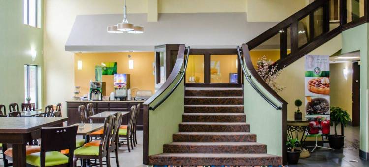 麦地那阿克伦西凯艺套房酒店(Quality Inn & Suites Medina - Akron West)图片