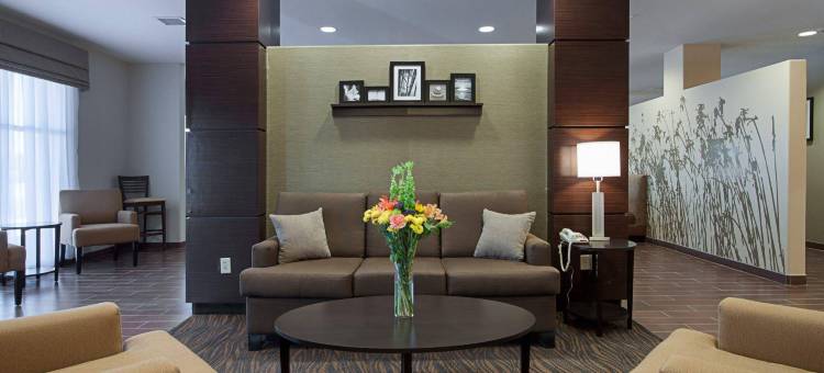 卡尔斯巴德洞穴区舒眠套房酒店(Sleep Inn & Suites Carlsbad Caverns Area)图片