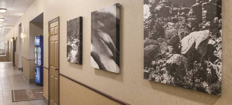 达科他丘丽怡酒店(Country Inn & Suites by Radisson, Dakota Dunes, SD)图片