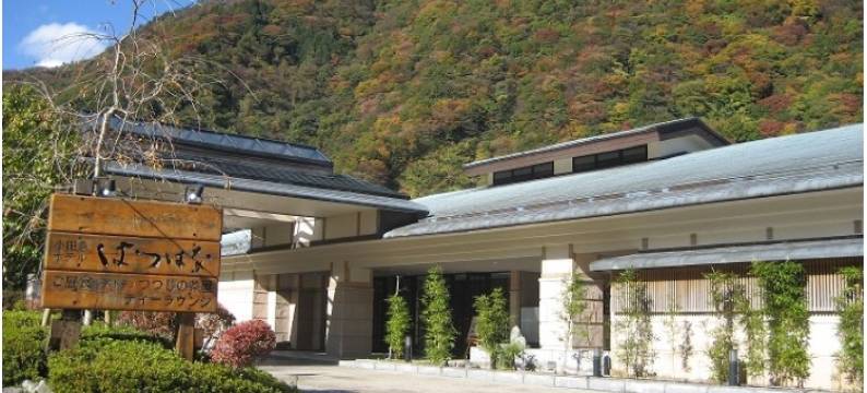 初花(Hatsuhana)图片