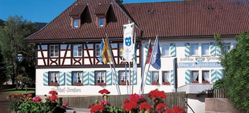 德雷伊雪球旅馆(Gasthaus Drei Schneeballen)图片