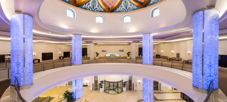 阿吉曼皇宫酒店(Bahi Ajman Palace Hotel)图片