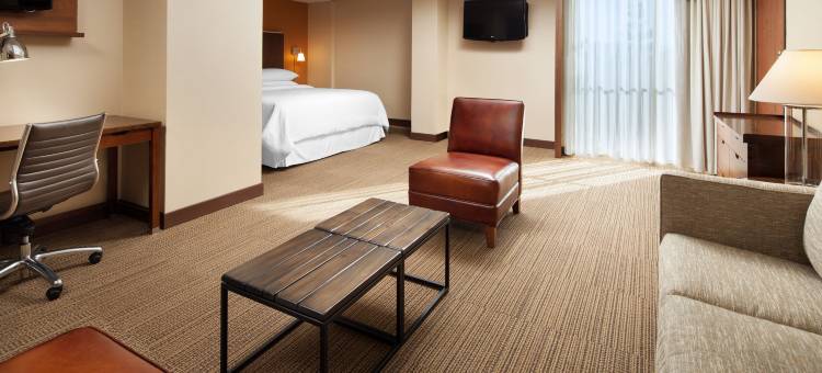 圣何塞机场万怡酒店(Courtyard by Marriott San Jose Airport)图片
