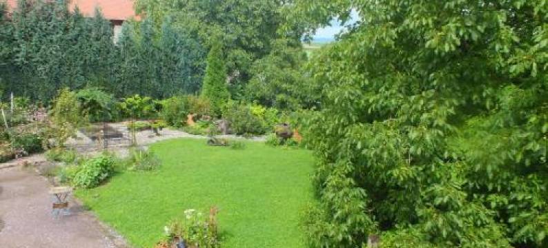 Gîte Découverte Alsace图片