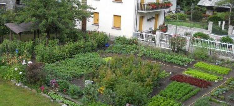 Albergo Mologna图片