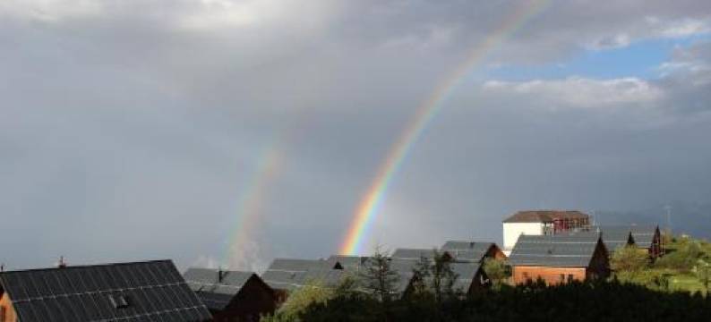 博嘎斯霍夫雪绒花酒店(Berggasthof Edelweiss)图片