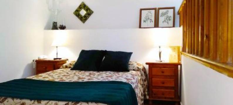 布埃纳维斯塔皇宫酒店(Hotel Palacio Buenavista)图片