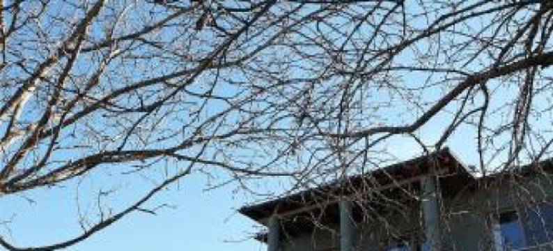 米塔莉艺术酒店(Art Hotel Mirtali)图片