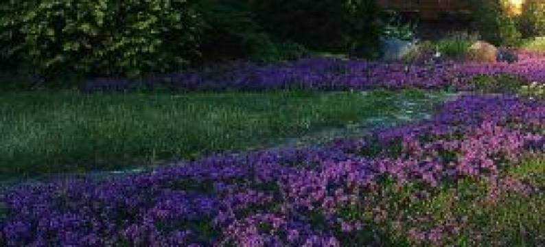 Gallery Guest Rooms图片