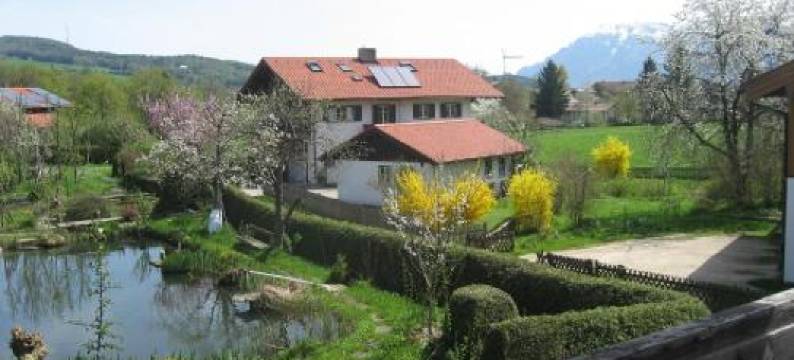 安妮里斯艾克哈特公寓(Ferienwohnung Anneliese Eckhart)图片