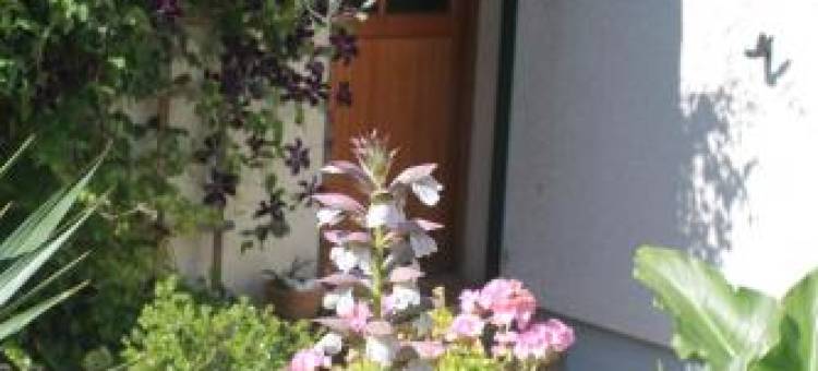 Chambre d'Hôtes "Orchidees"图片