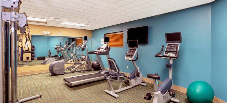 智选假日套房酒店布雷登顿(Holiday Inn Express & Suites Bradenton East-Lakewood Ranch)图片