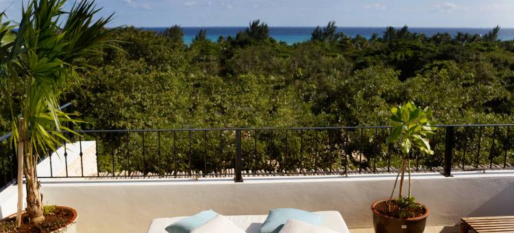 卡曼海滩塞米拉酒店 - 设计酒店会员 - 限成人(Hotel la Semilla a Member of Design Hotels)图片