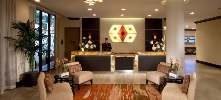 迪尔菲尔德海滩温德姆度假酒店(Wyndham Deerfield Beach Resort)图片