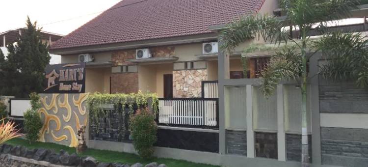 哈利的家庭旅馆(Hary's Homestay)图片