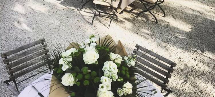 阿尔皮勒城堡酒店(Hôtel Chateau des Alpilles)图片