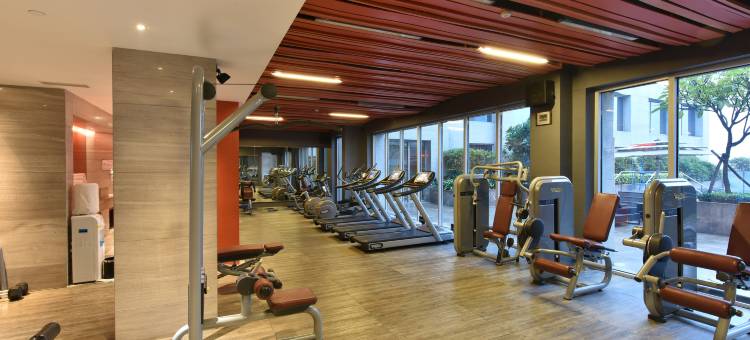 新德里国际机场假日旅馆(Holiday Inn New Delhi International Airport)图片