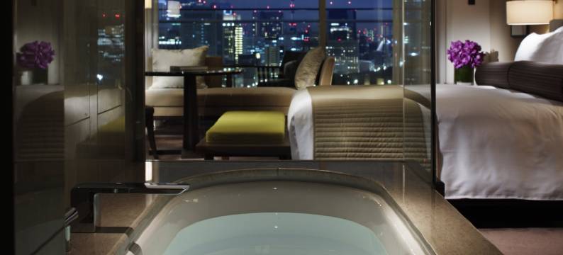东京皇宫酒店(Palace Hotel Tokyo)图片