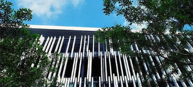 普吉岛Blu Monkey住宿加早餐酒店(Blu Monkey Bed & Breakfast Phuket)图片