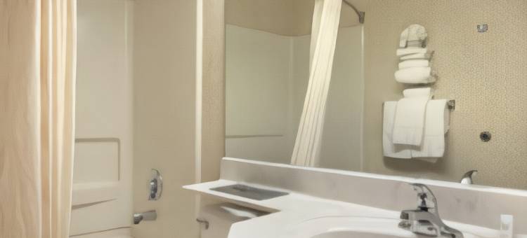 Microtel Inn & Suites by Wyndham Greensboro图片